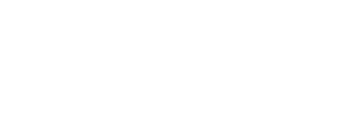 DSA Academy